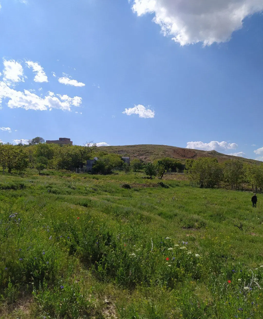 زمین باغی