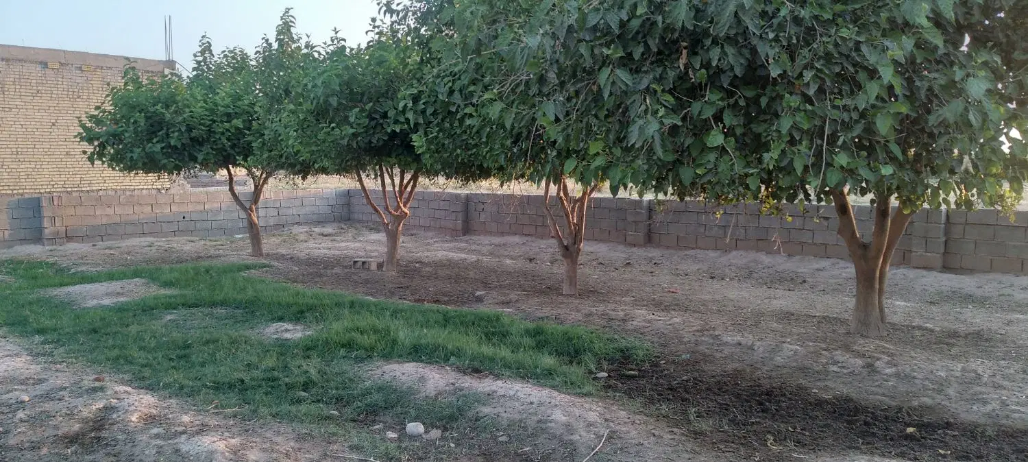 زمین مسکونی
