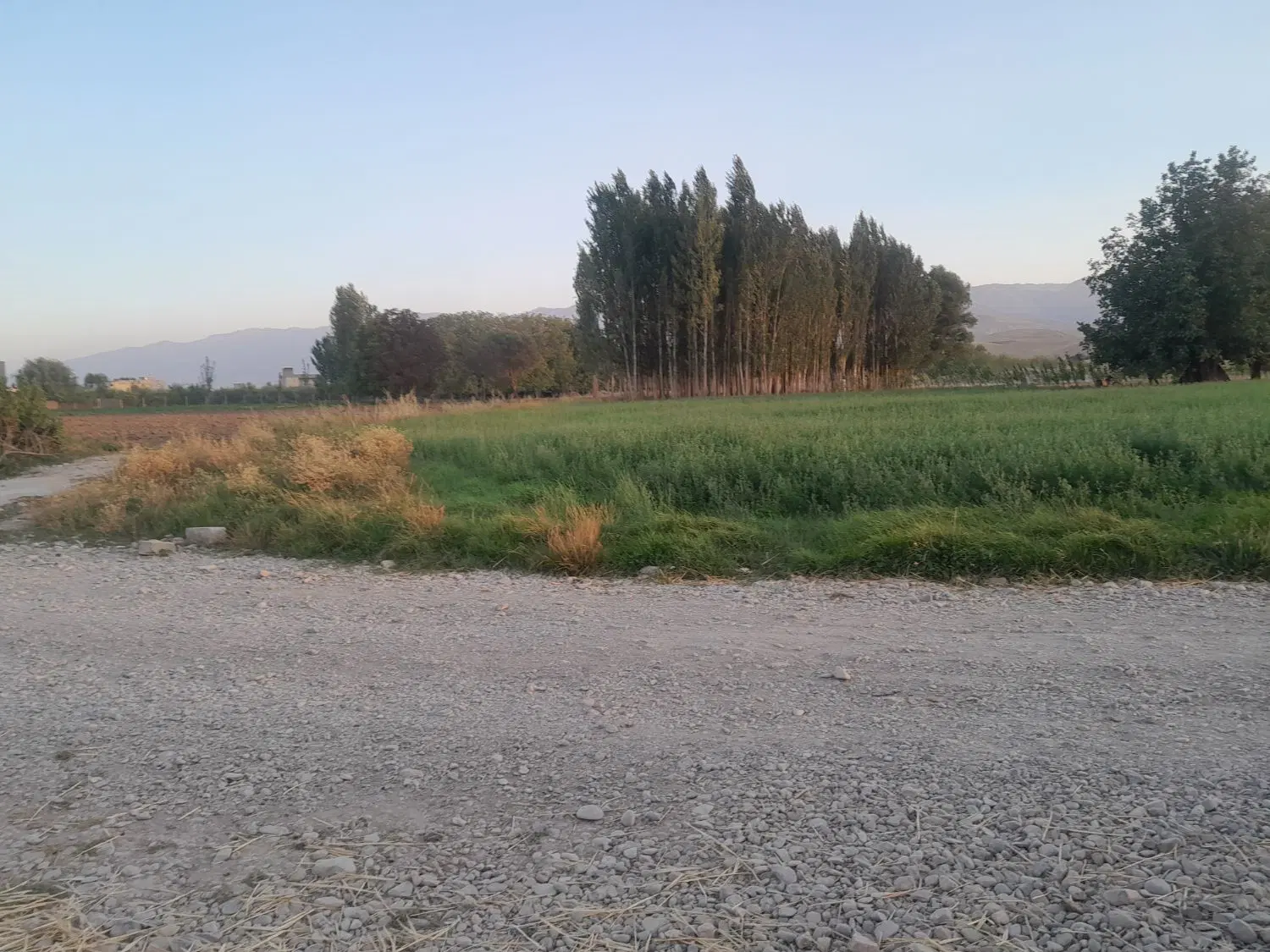 با سلام یک قطعه زمین کشاورزی در دهنوسفلی