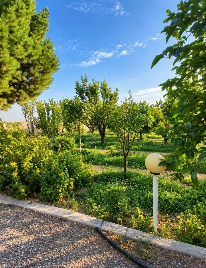 ویلا باغ سند دار درختان مستمر