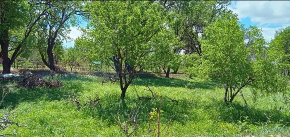 باغ حدودا ۷۰۰متری