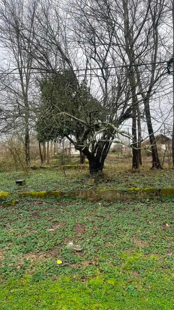 فروش زمین در روستای اطراف آستانه اشرفیه
