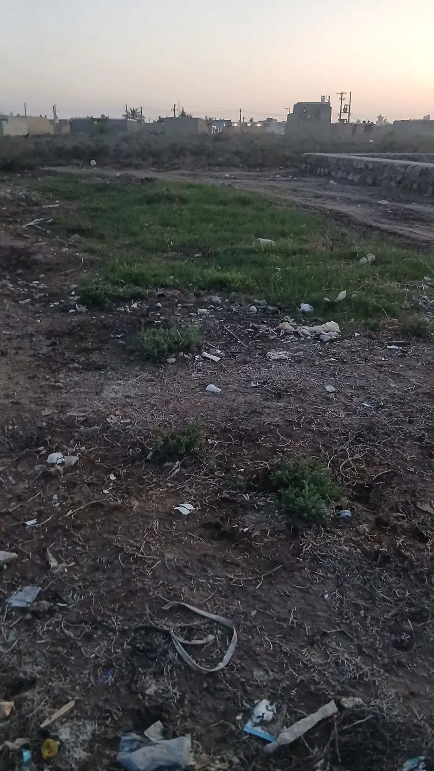 ملاشیه
