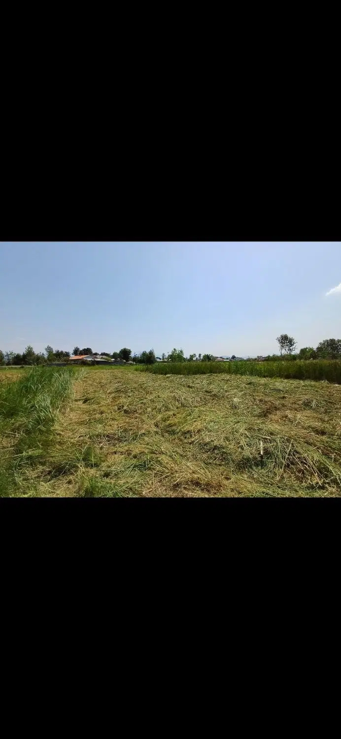 زمین ۳۰۵ متر ( طرح هادی ) طالم سه شنبه