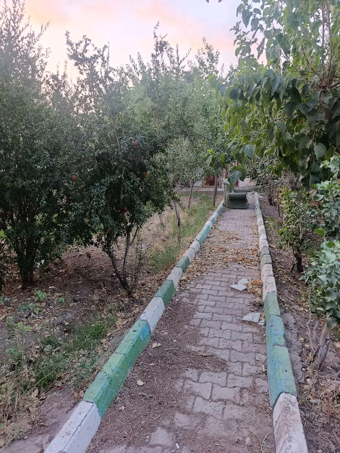 زمین باغ