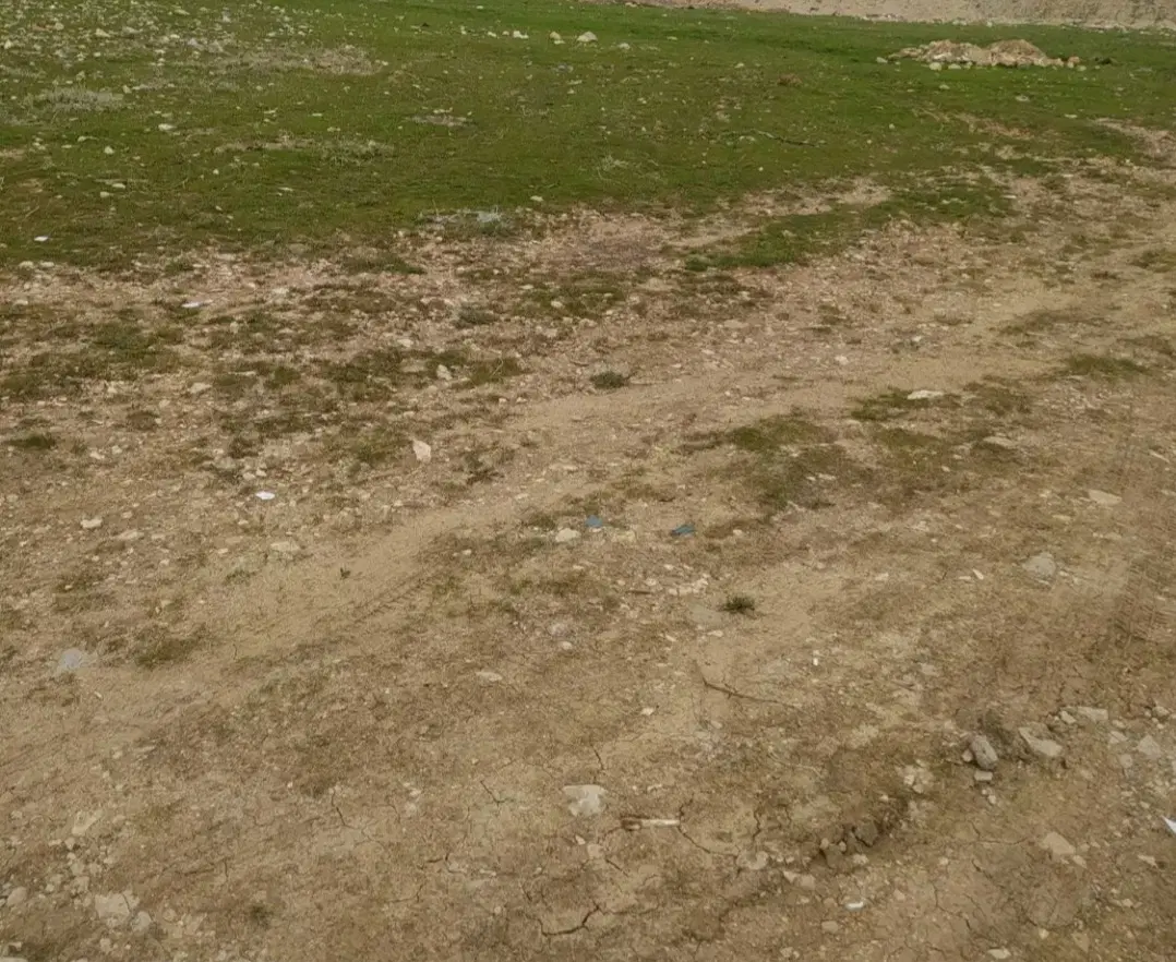 زمین بانبرز