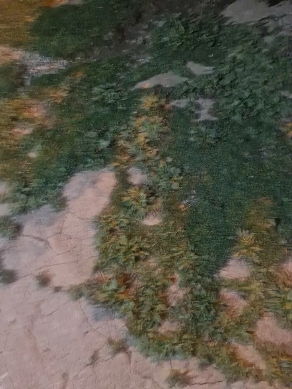 فروش زمین مینگالال معاوضه بانیسان