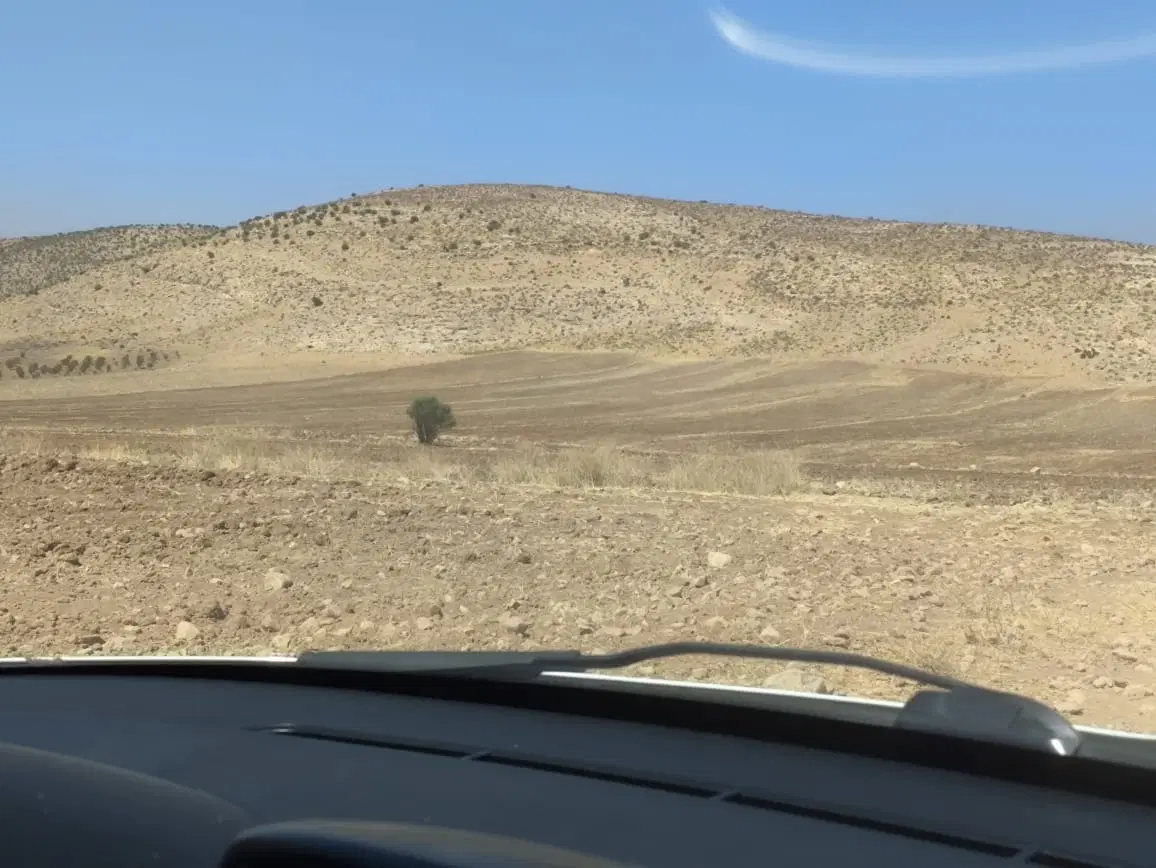 زمین اب پرده