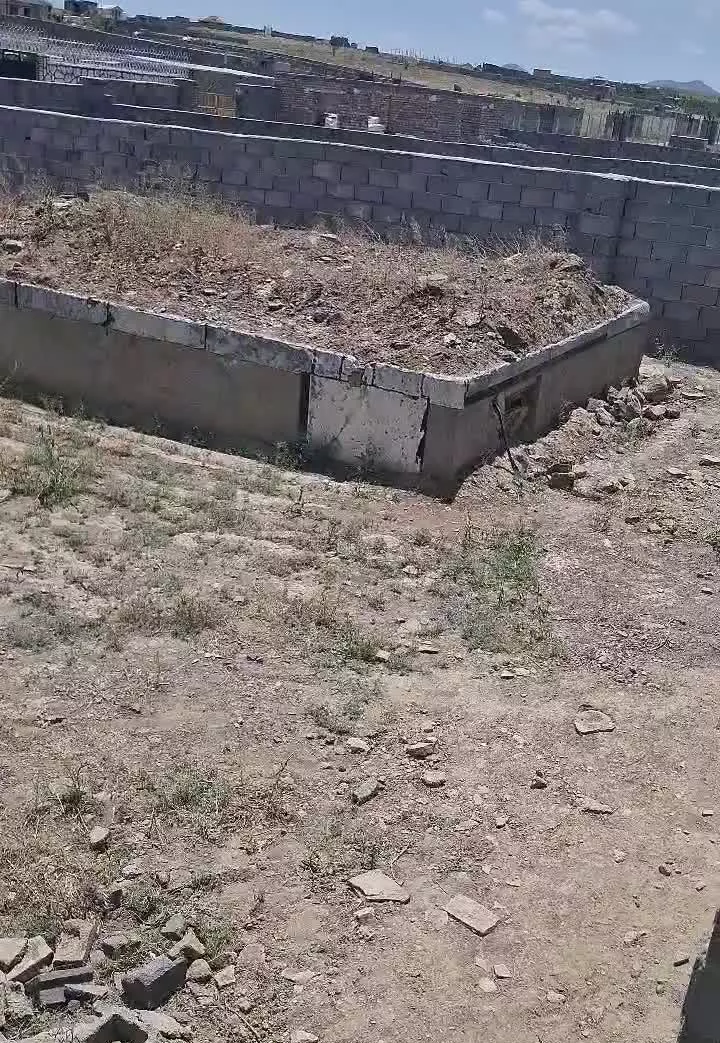 زمین کشاورزی