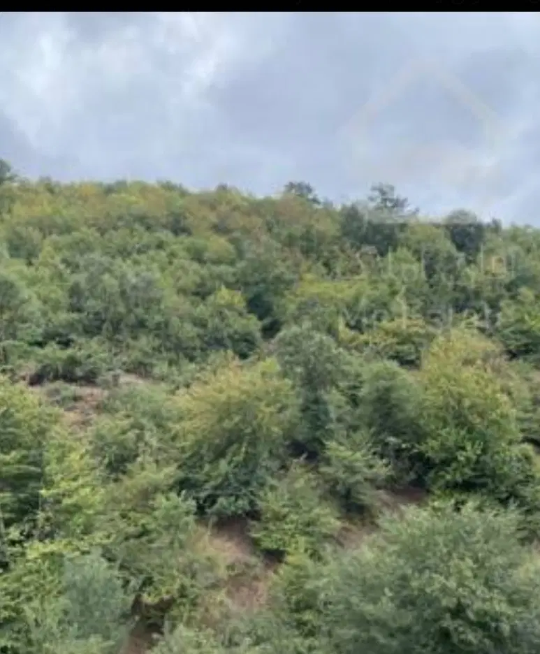 زمین داخل بافت روستای توریستی جهان نما