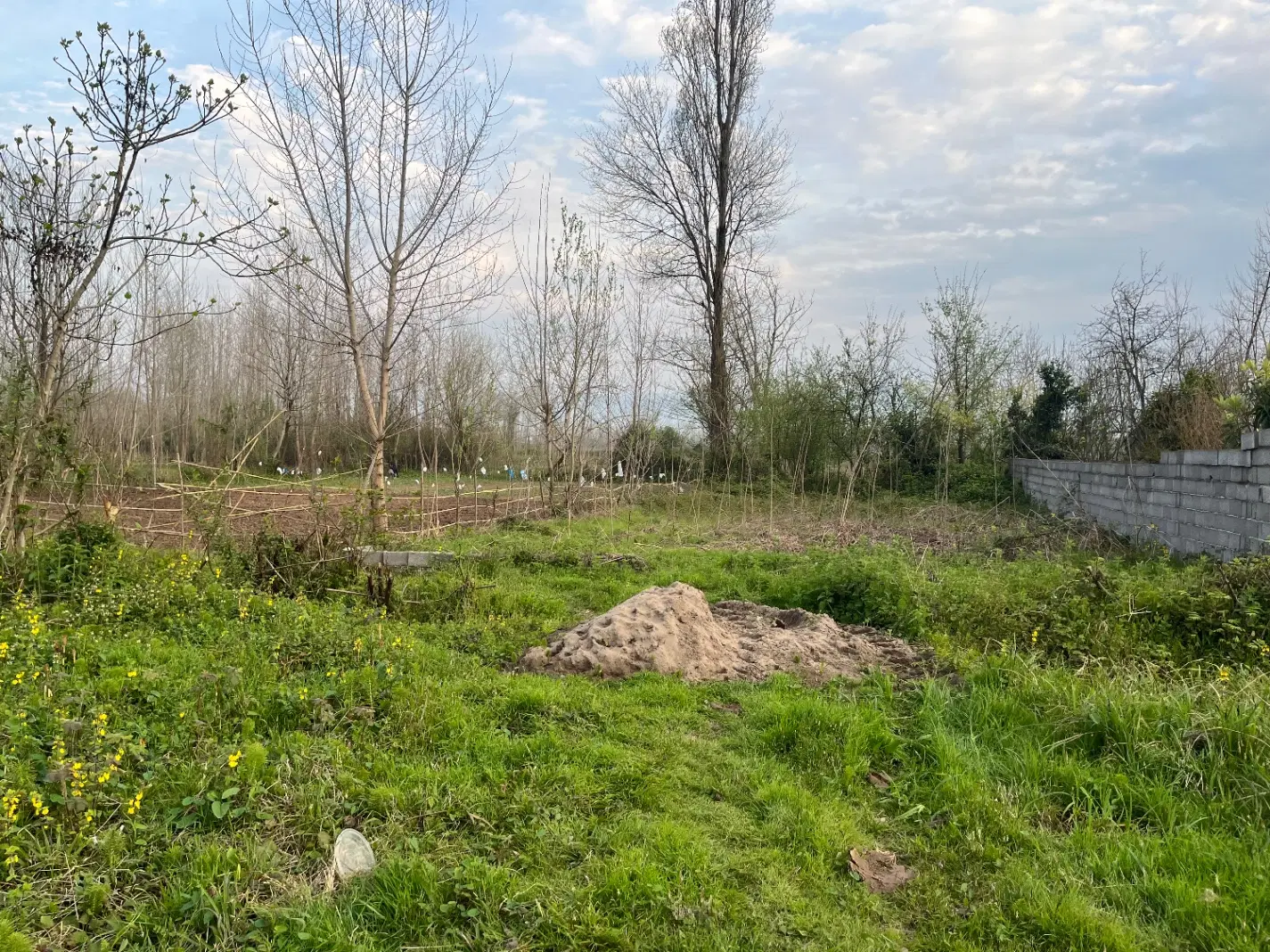 زمین تجاری مسکونی بر اصلی روستای پنچاه