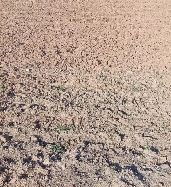 ۲ هکتار زمین
