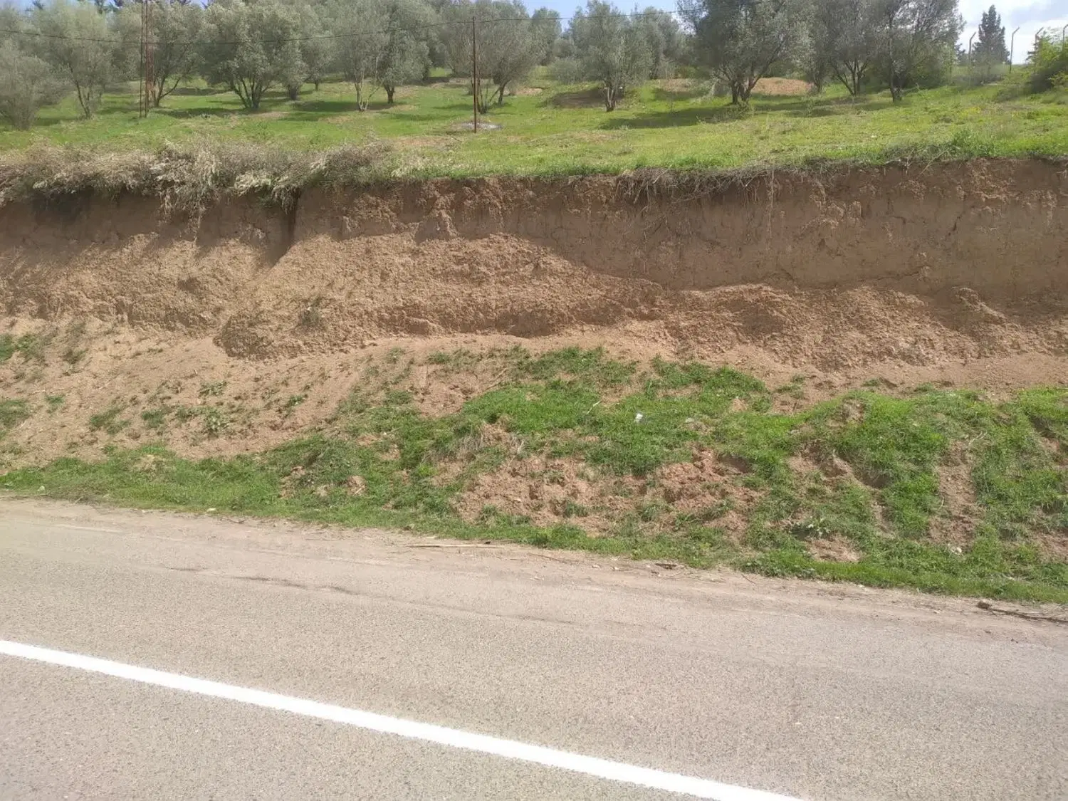 فروش زمین