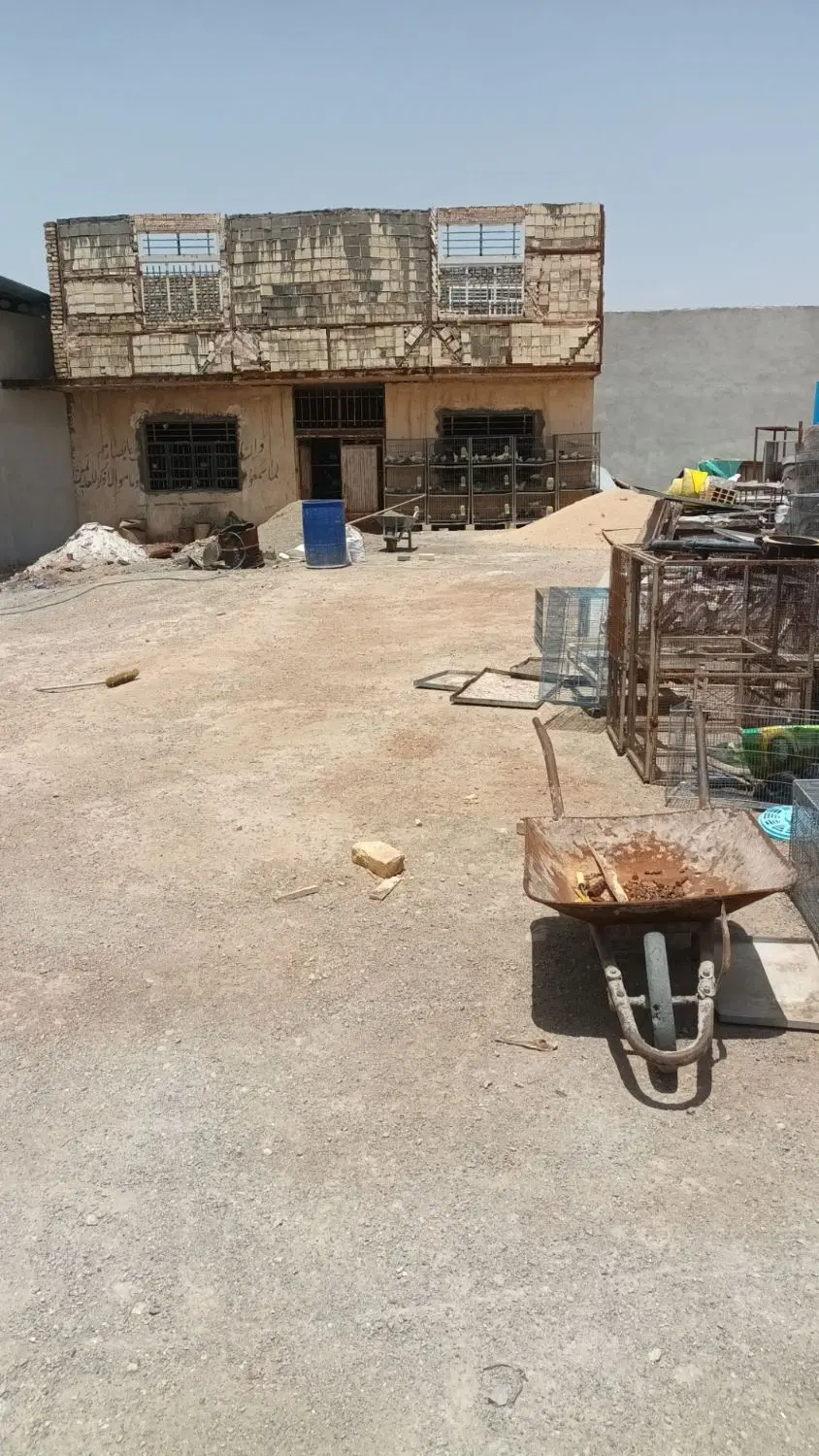 گاوداری 150 راسی پروار بندی
