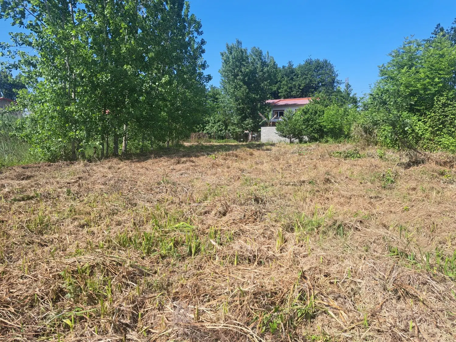 ۱۲۵۱متر زمین واقع در روستای قاضی محله