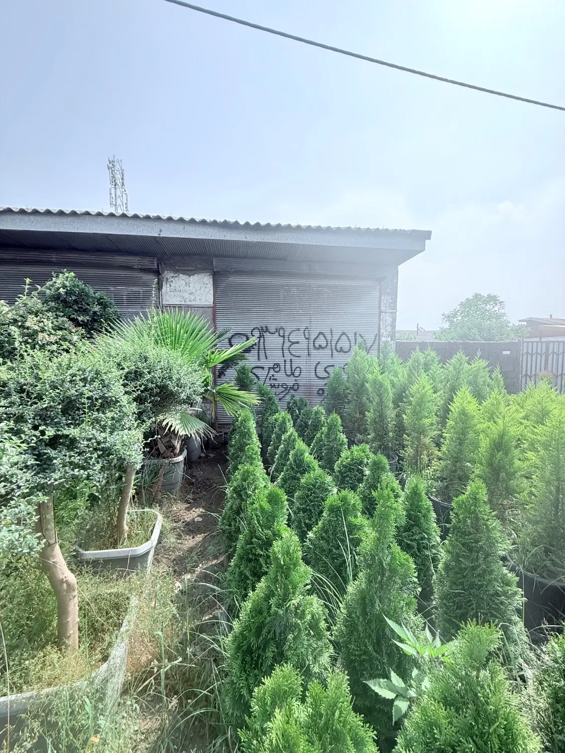 سرمایه گذار برای شراکت