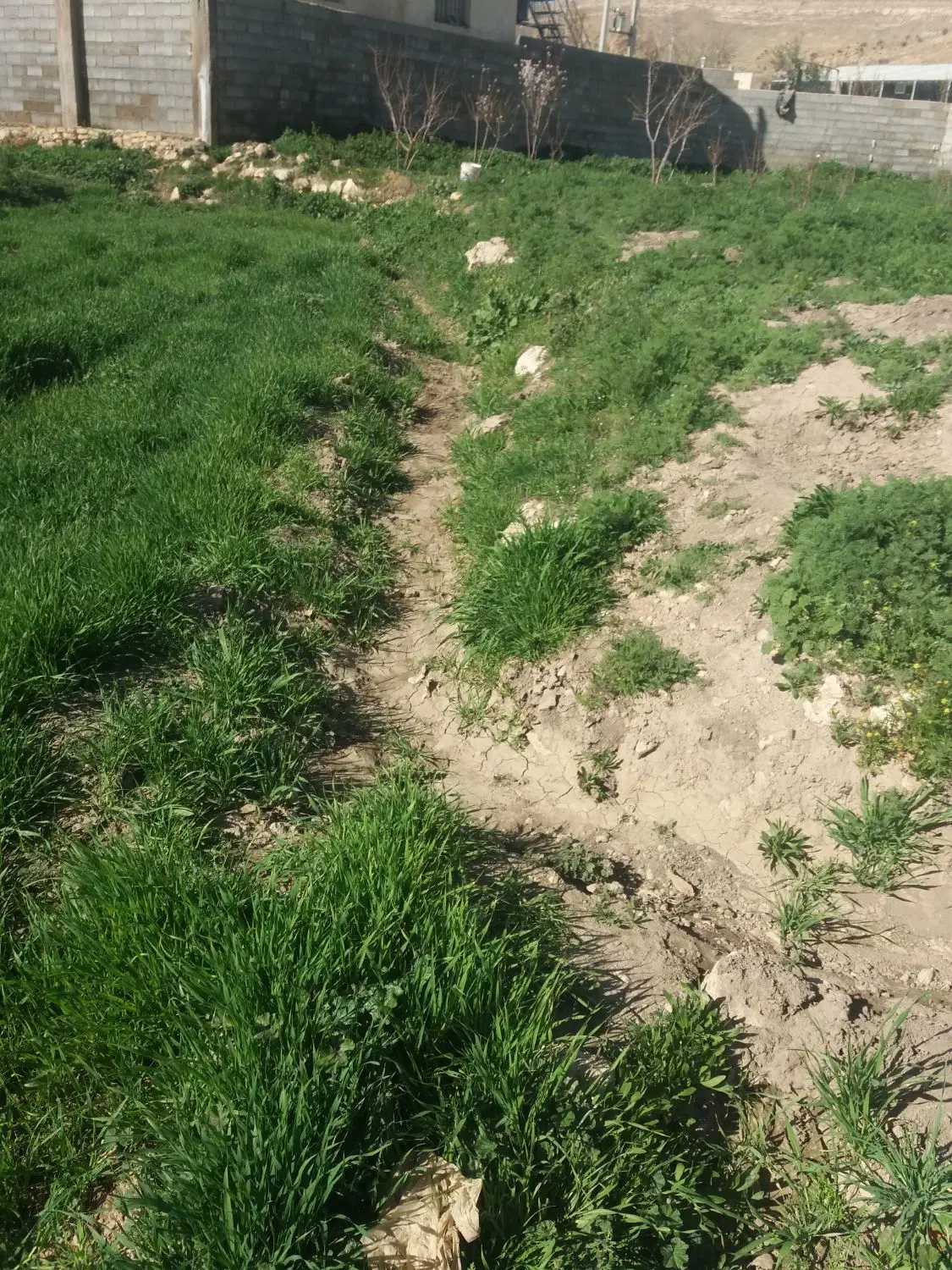 زمین باغ وکشاورزی روستای بر دج