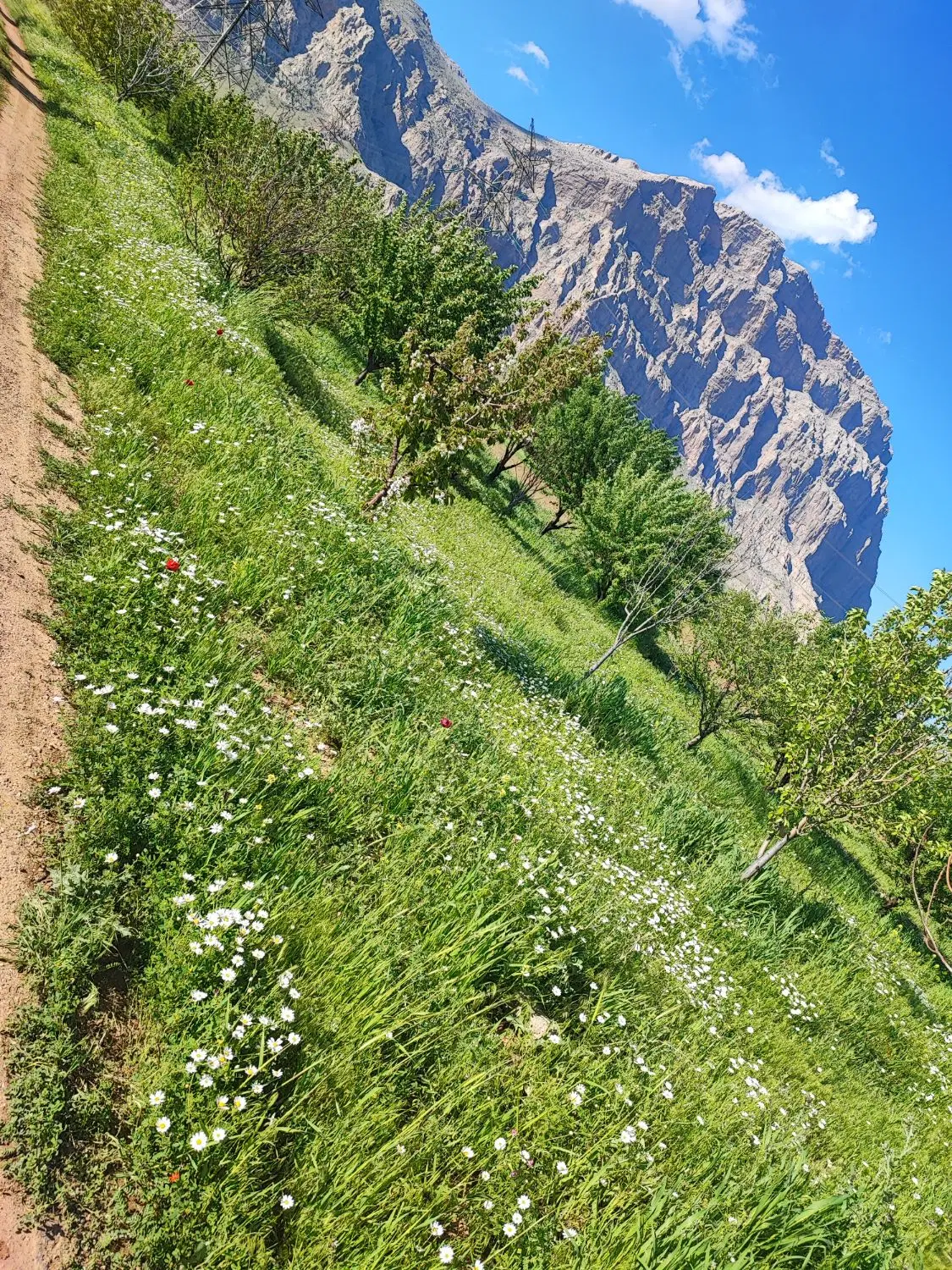باغ پلیس راه