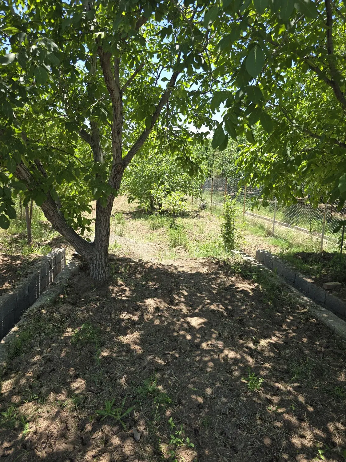 باغچه نقلی سند دار کورانه بهاران