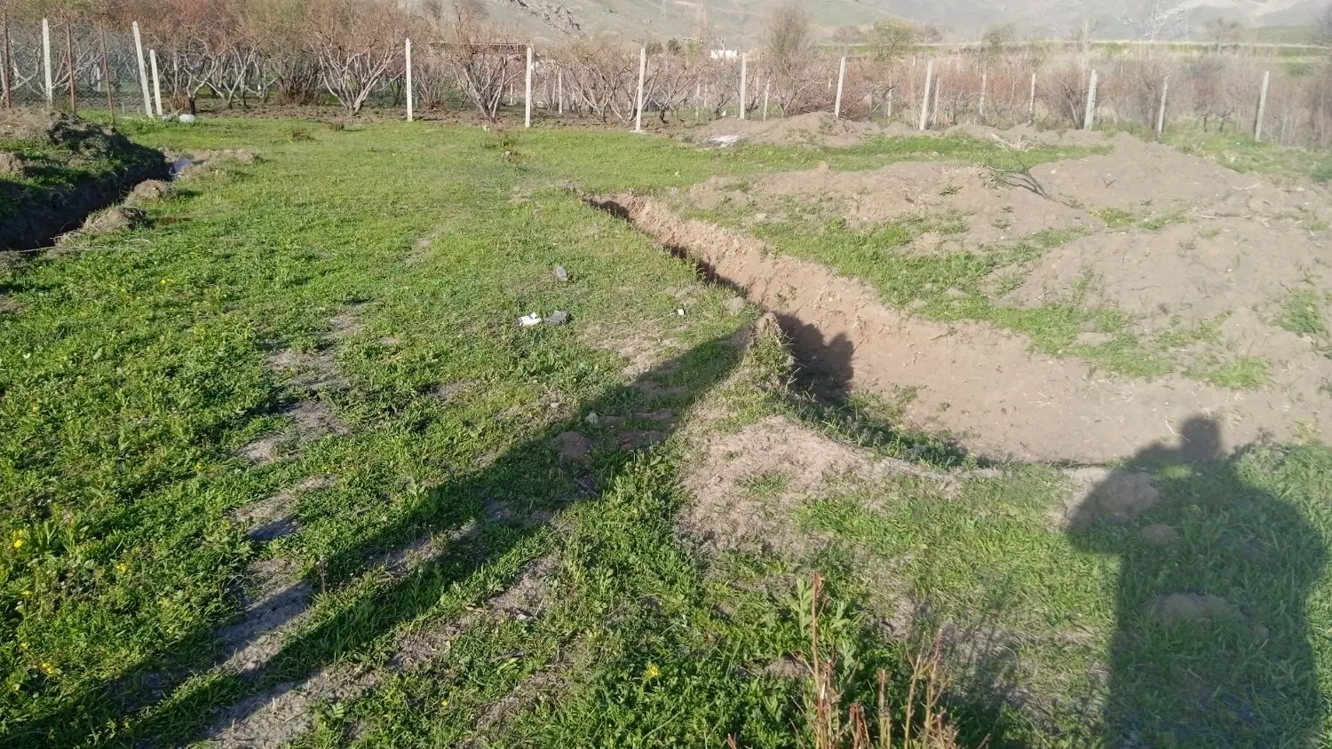 زمین ۱۰۰ متری نایسر