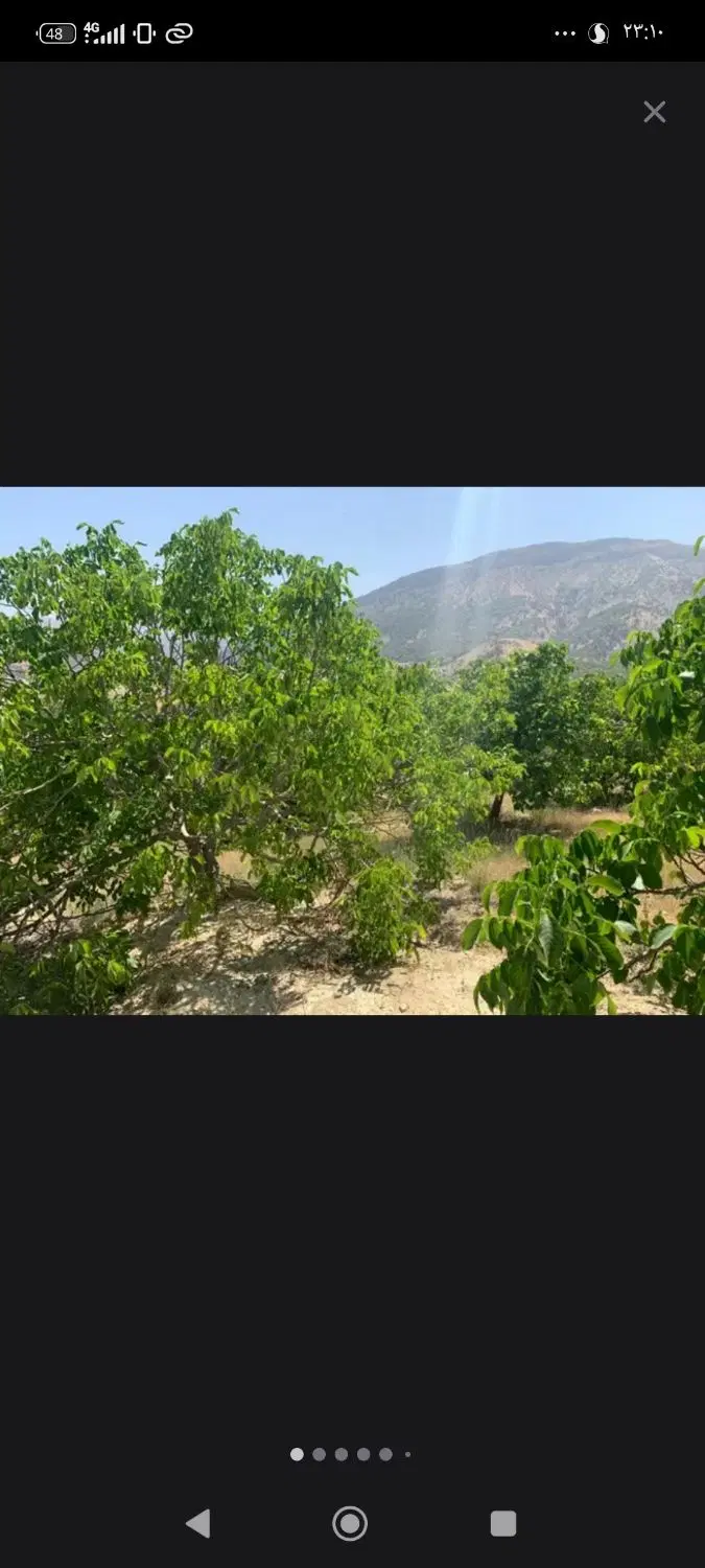 زمین باغی گلستان سروک