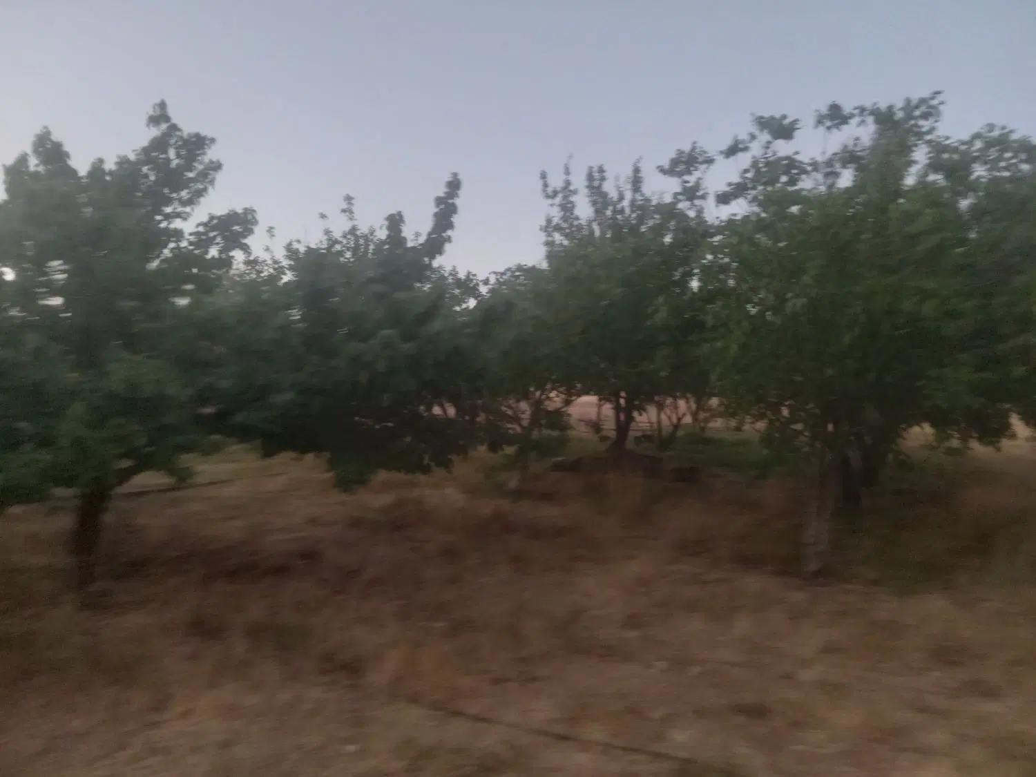 فروش باغ در سمیرم