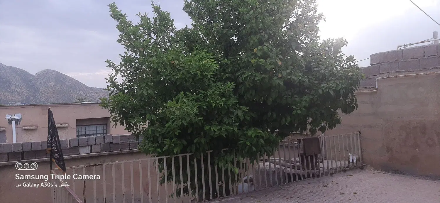 خانه فروشی چوار