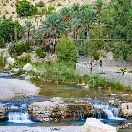 زمین‌سیاهو‌سیخوران