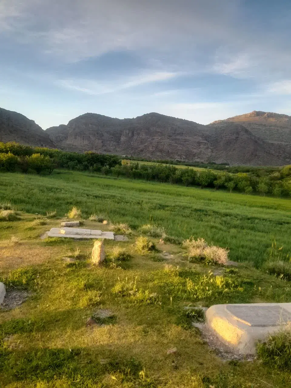 باغ میوه