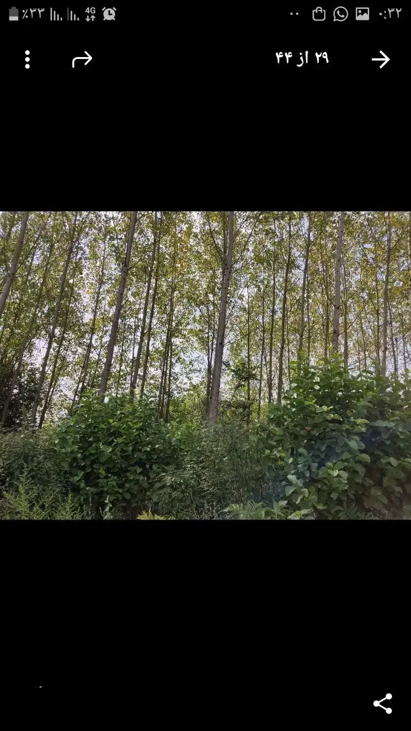 زمین با ویو عالی