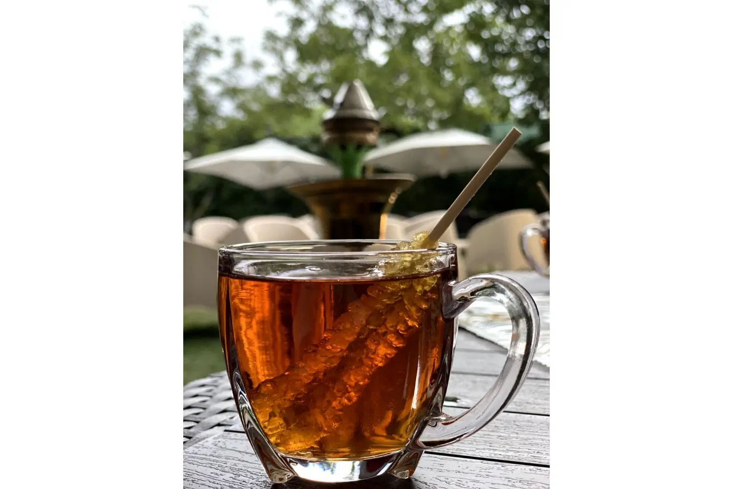 زمین نکاشته کشاورزی و باغی