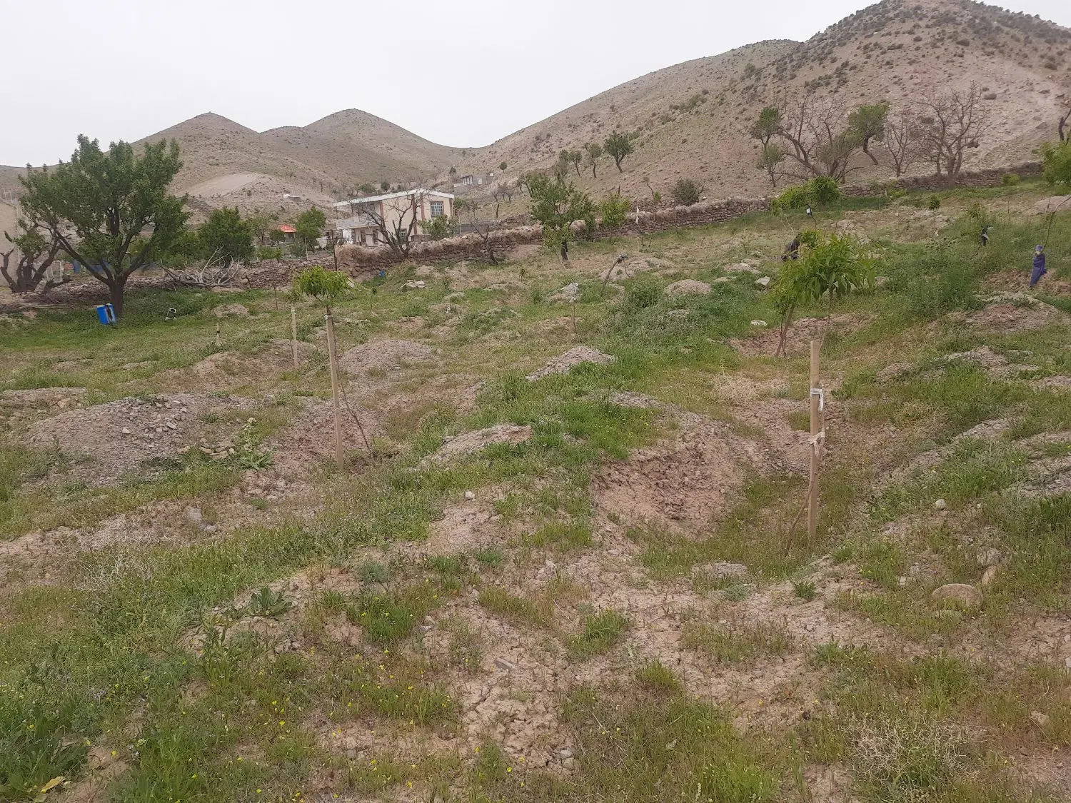 زمین مسکونی باغ ویلایی