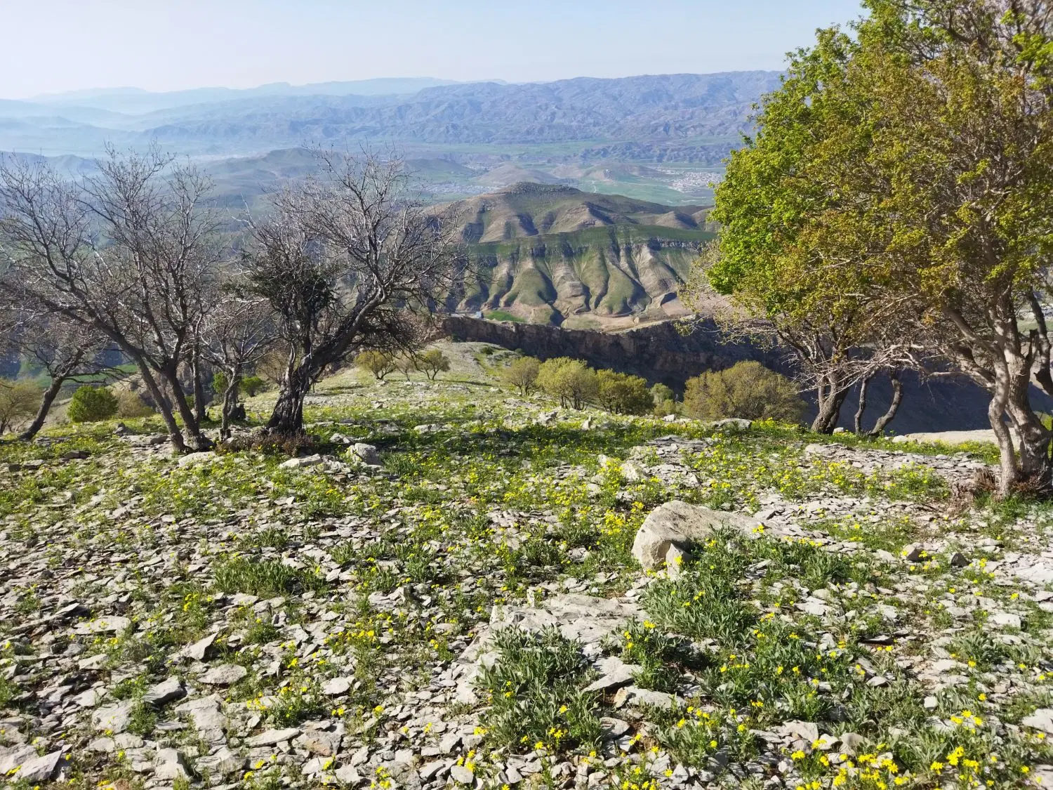 فروش زمین ۲۰۰ متری _ رجایی زمین های عابدی
