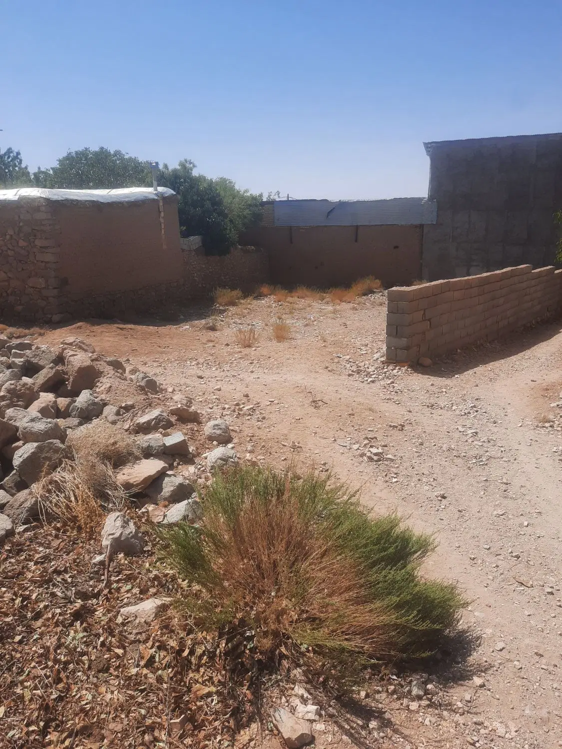 زمین مسکونی ۲۶۰ متری روستای میرهاشم زردین