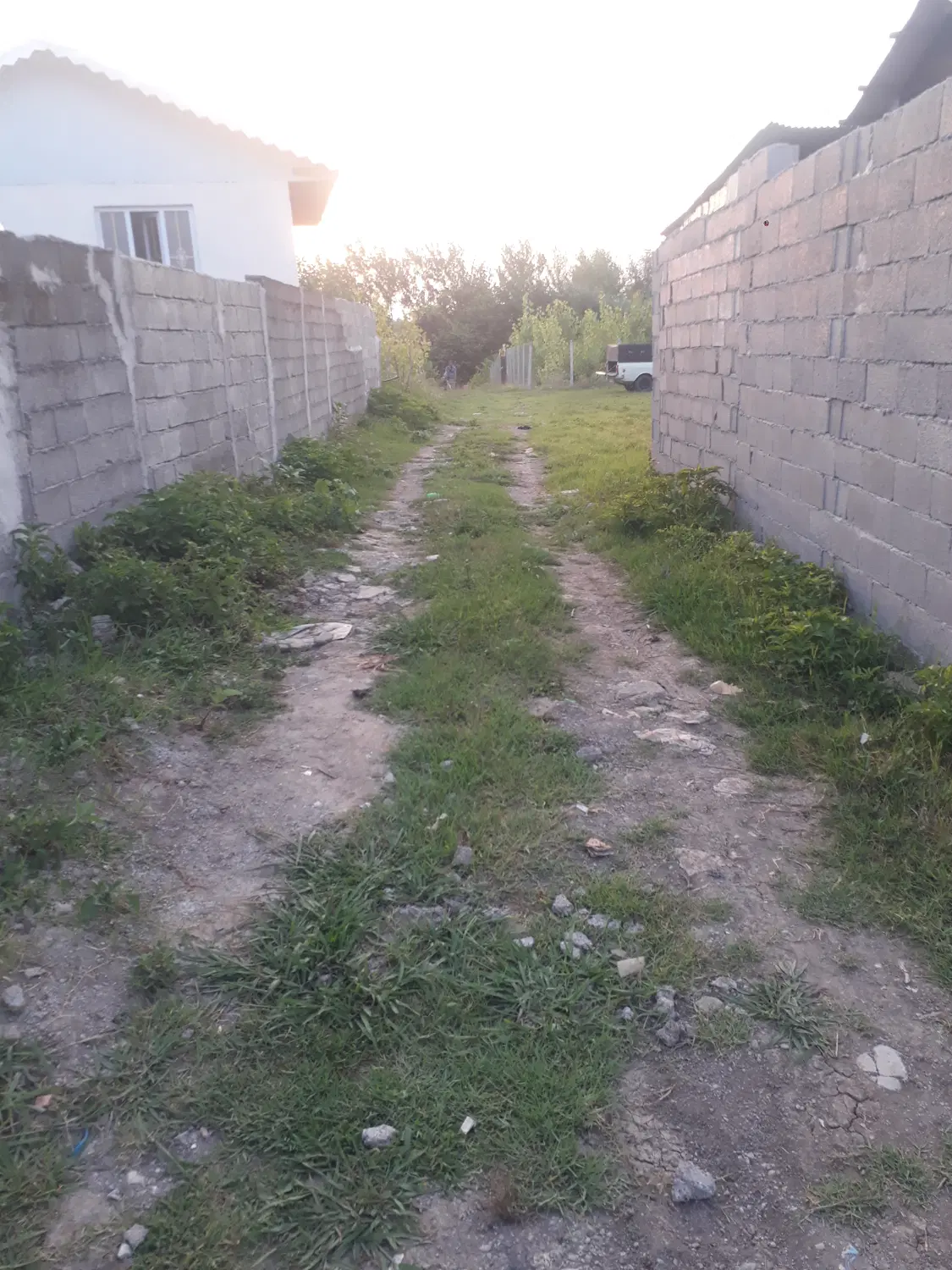 زمین ۷۵۵متری باغی
