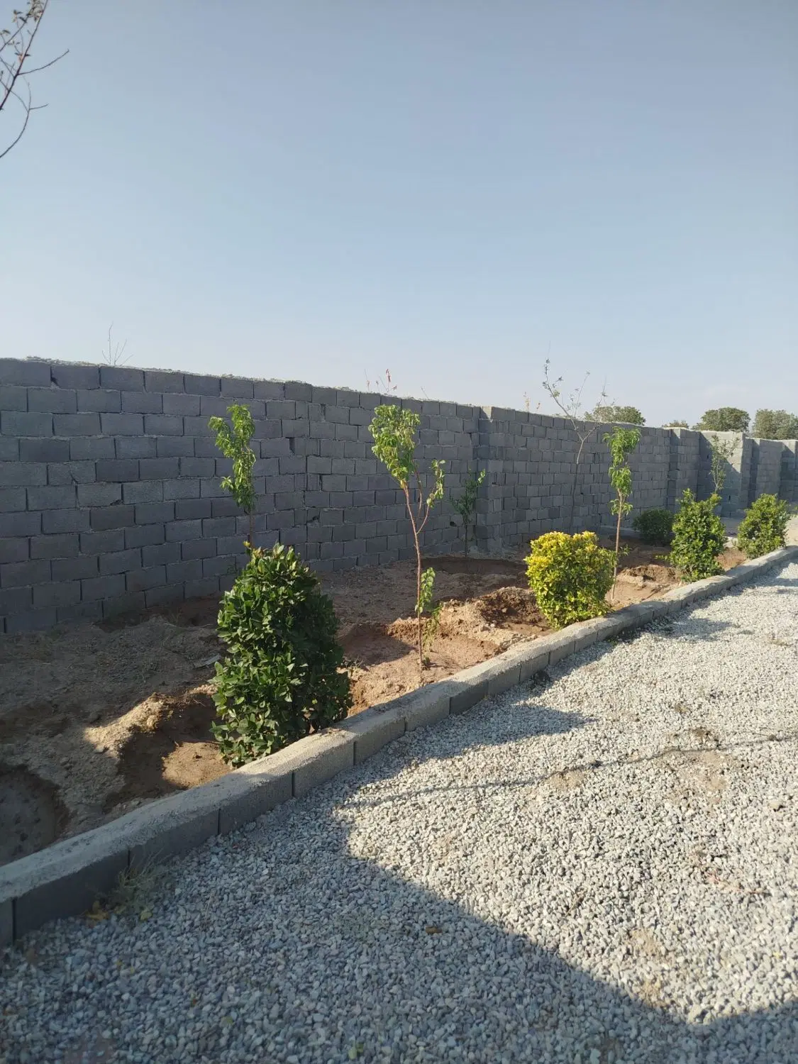 باغچه_سند شش دانگ_۴ دیواری