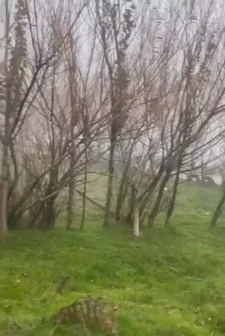 زمین فندقلو_محدود_سند_مجوز ساخت