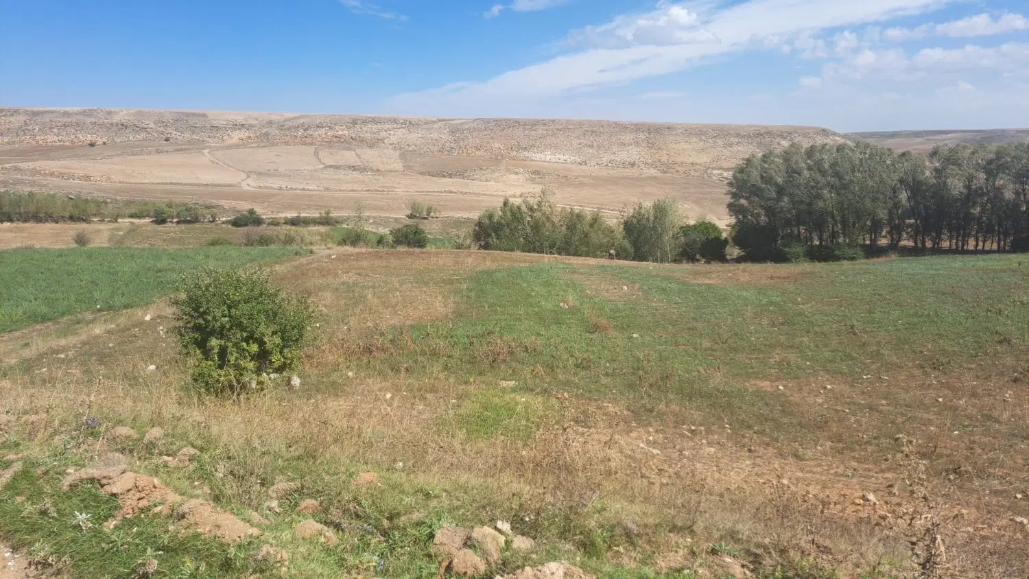 زمین مناسب سرمایه گذاری