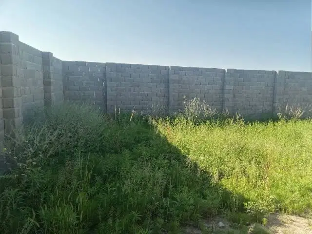 زمین ۲۴۰متری کشاورزی کله بندی