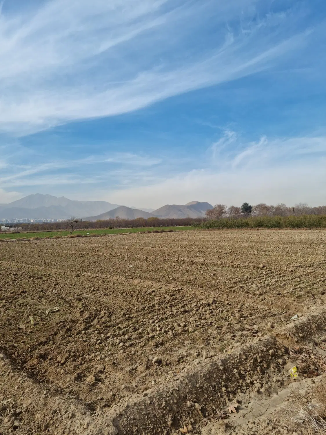 زمین کشاورزی جوزدان