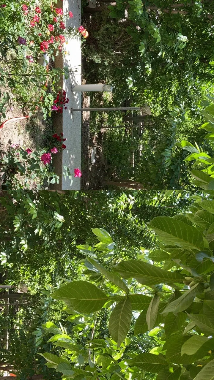 ویلای گلبهار