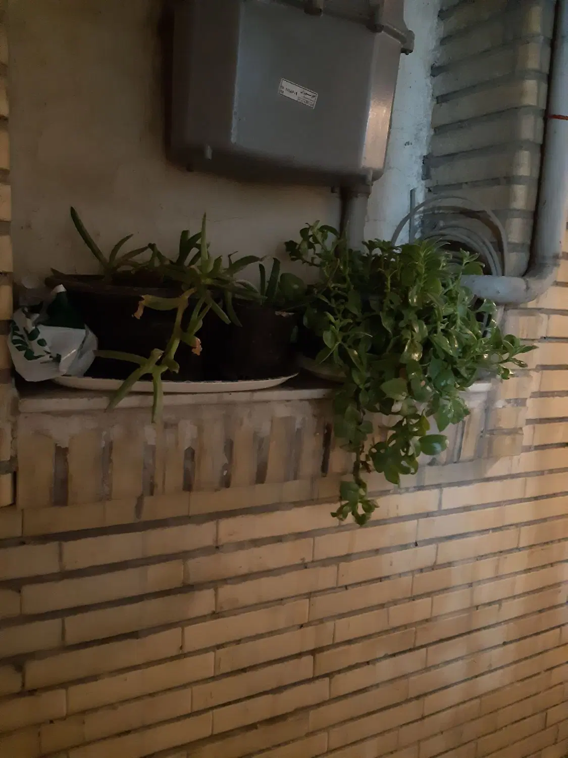 اجاره خونه ۷۰ متری در مرکز