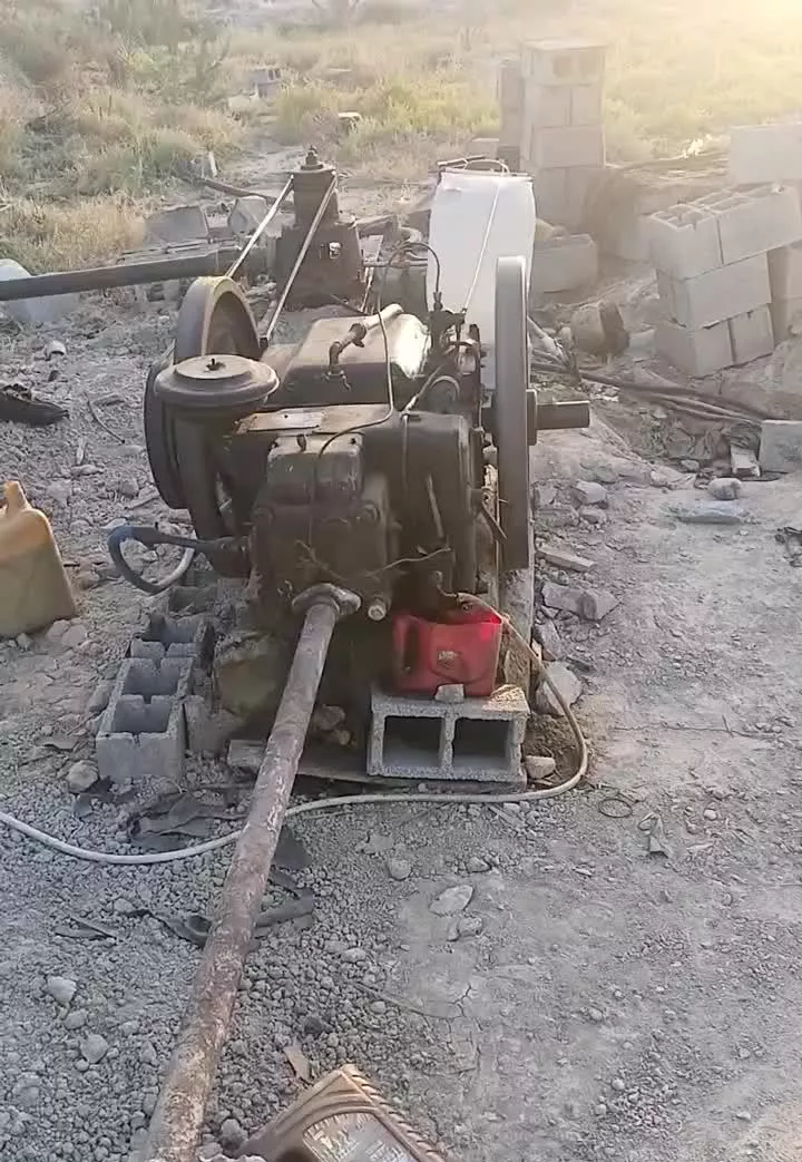 نخل کبکاب