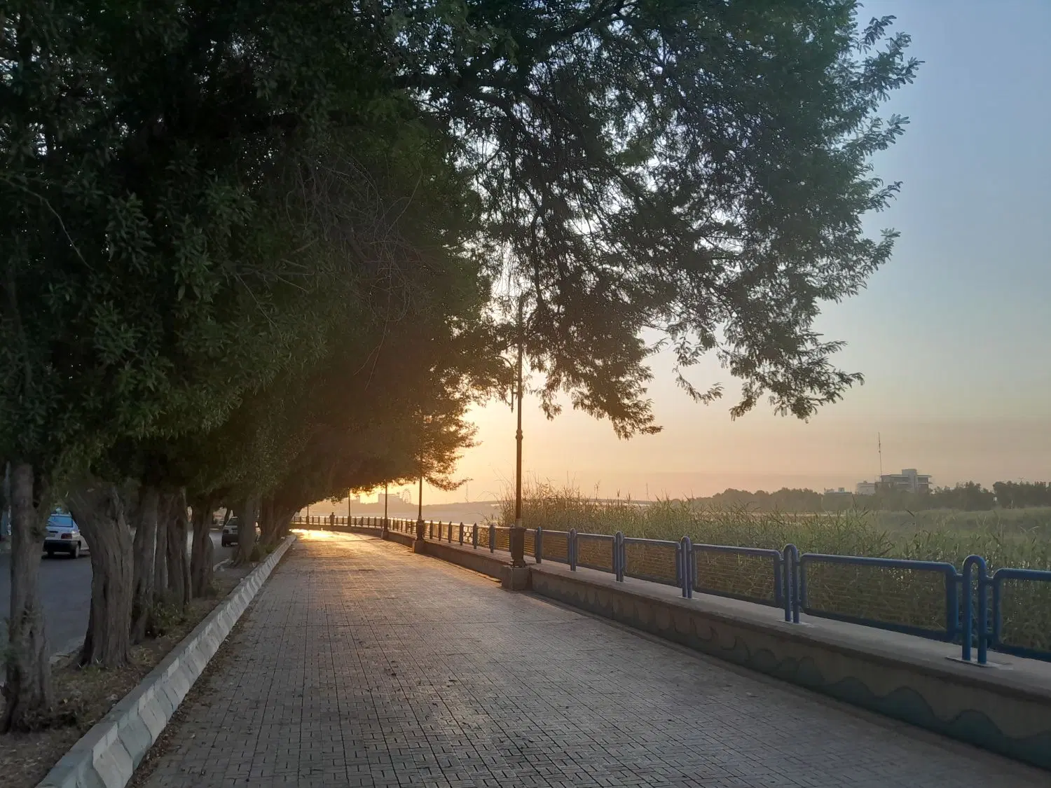 ملک اردیبهشت میرزای عالم