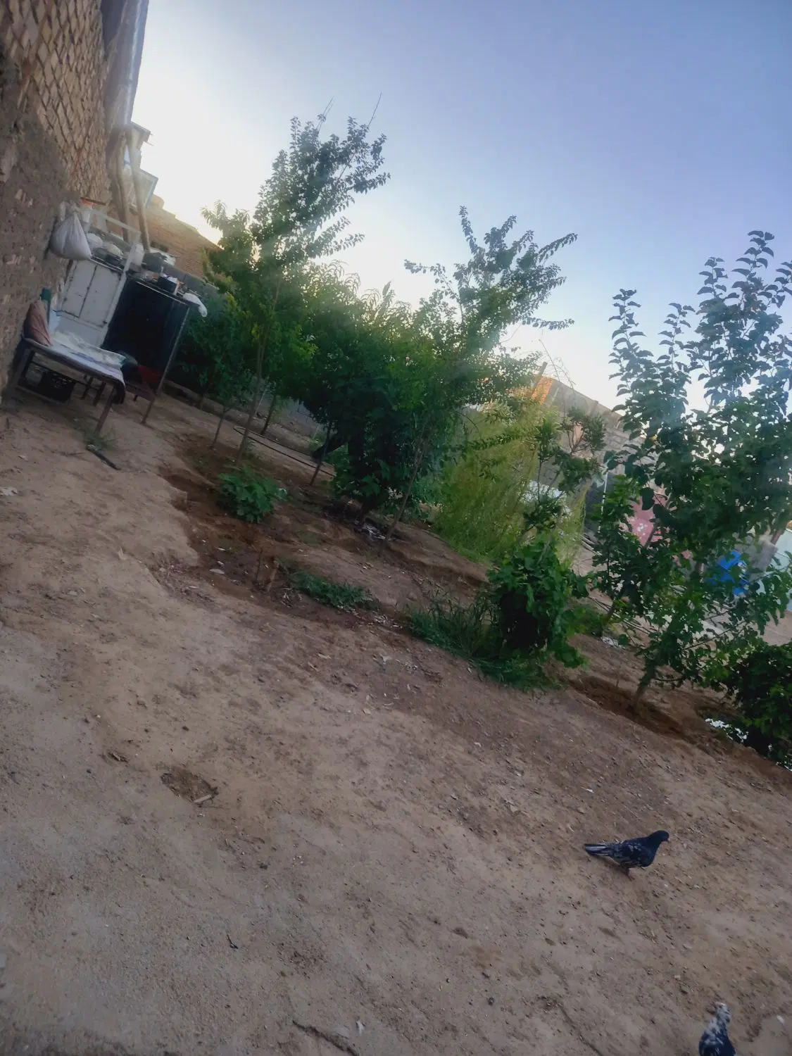 زمین فروشی
