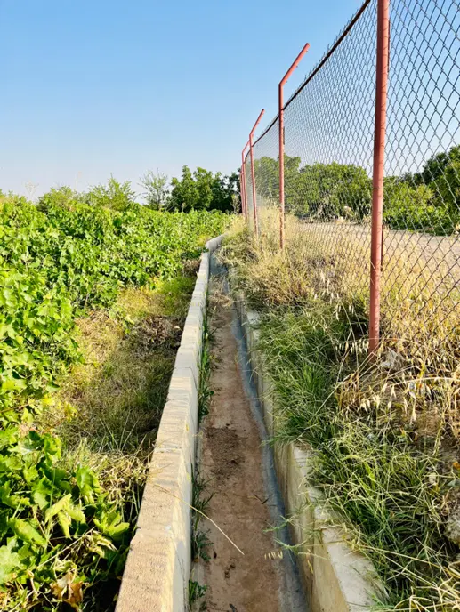فروش باغ