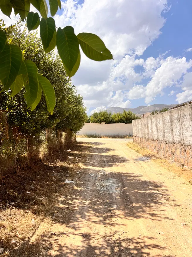 ۲قطعه باغ باغچه۱۹۵و۲۲۵متری سند اقساط جابان دماوند