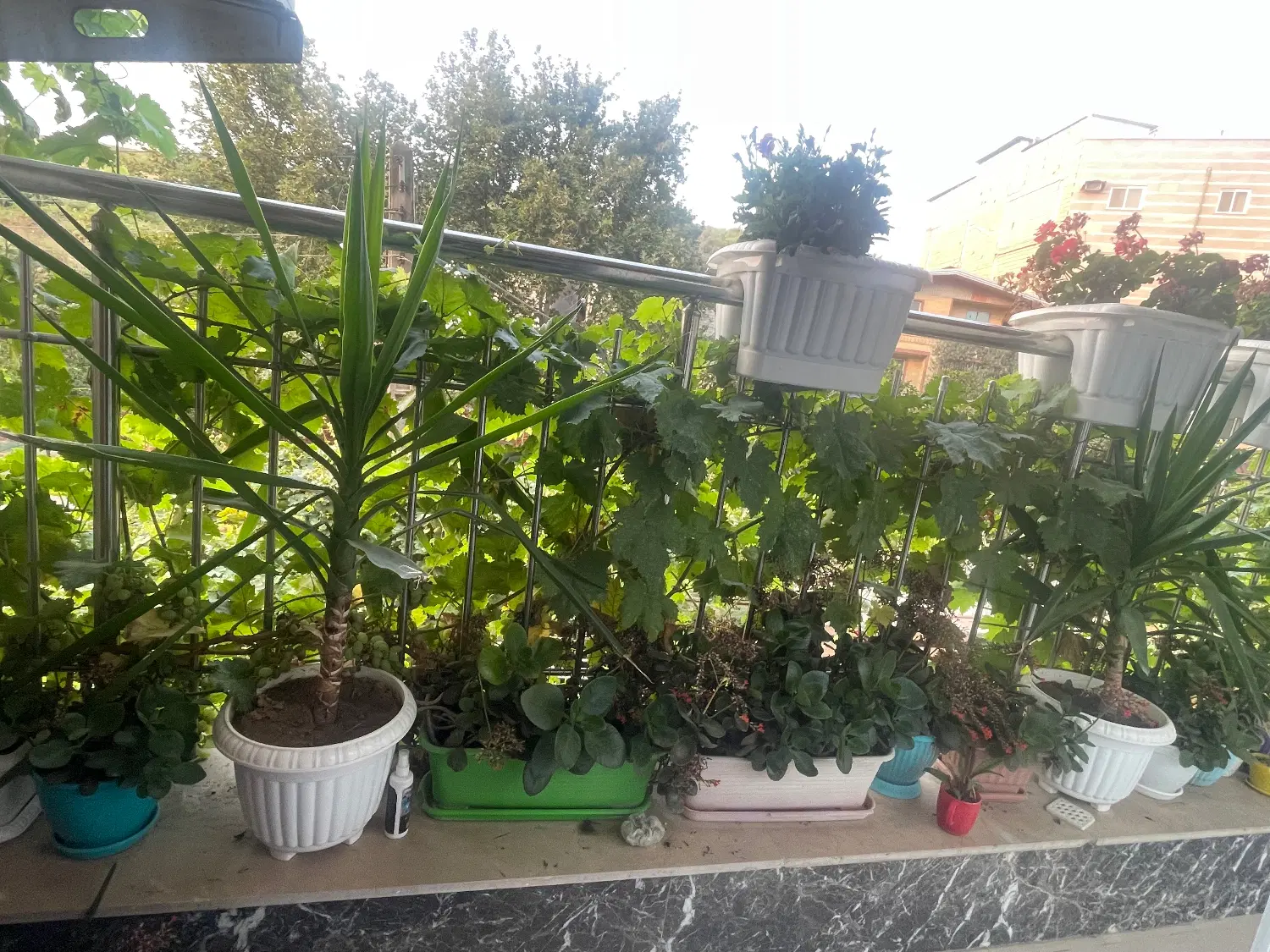 فروش آپارتمان تک واحدی