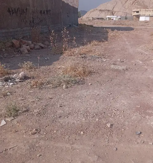 زمین درپوشاک