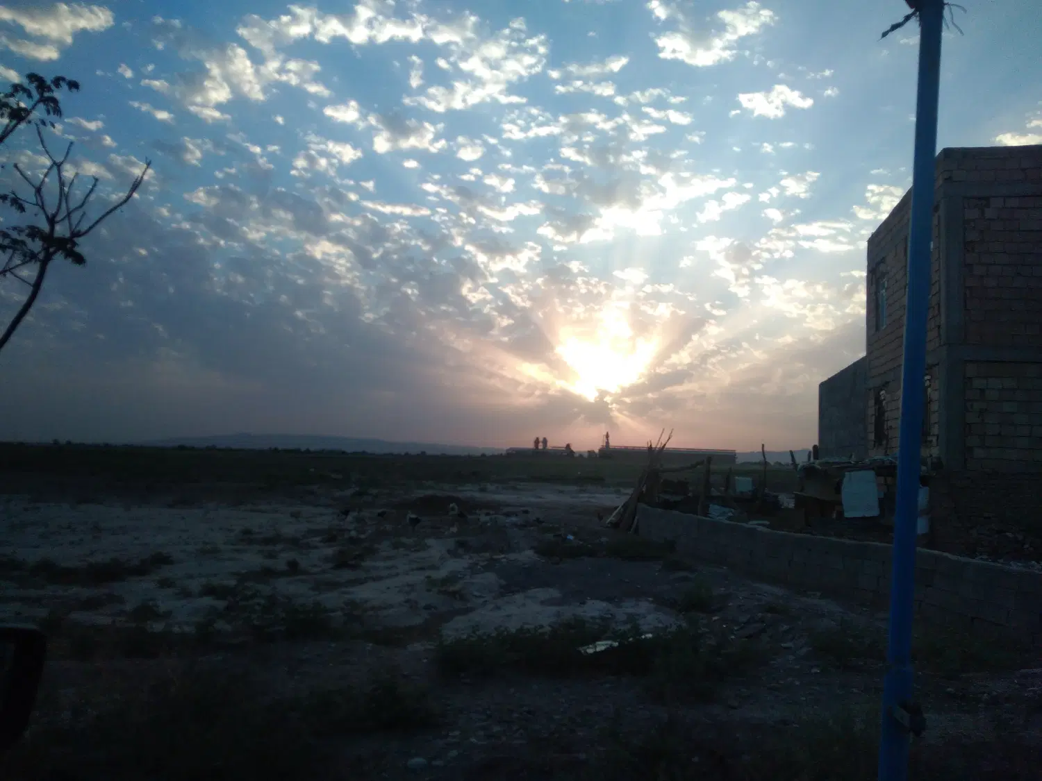 زمین کشاورزی، باغی